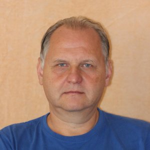 David Vích