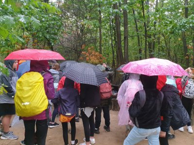 Park Mirakulum