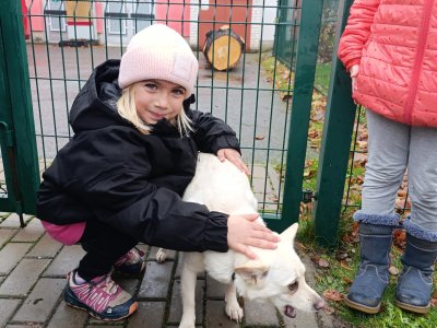 Den s domácími mazlíčky