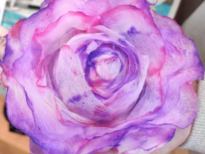 Taková normální výtvarka