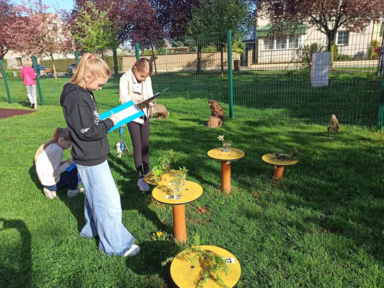 Soutěž v poznávání rostlin a živočichů - I. stupeň