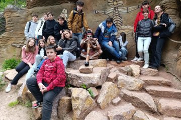 8.A  v  ZOO