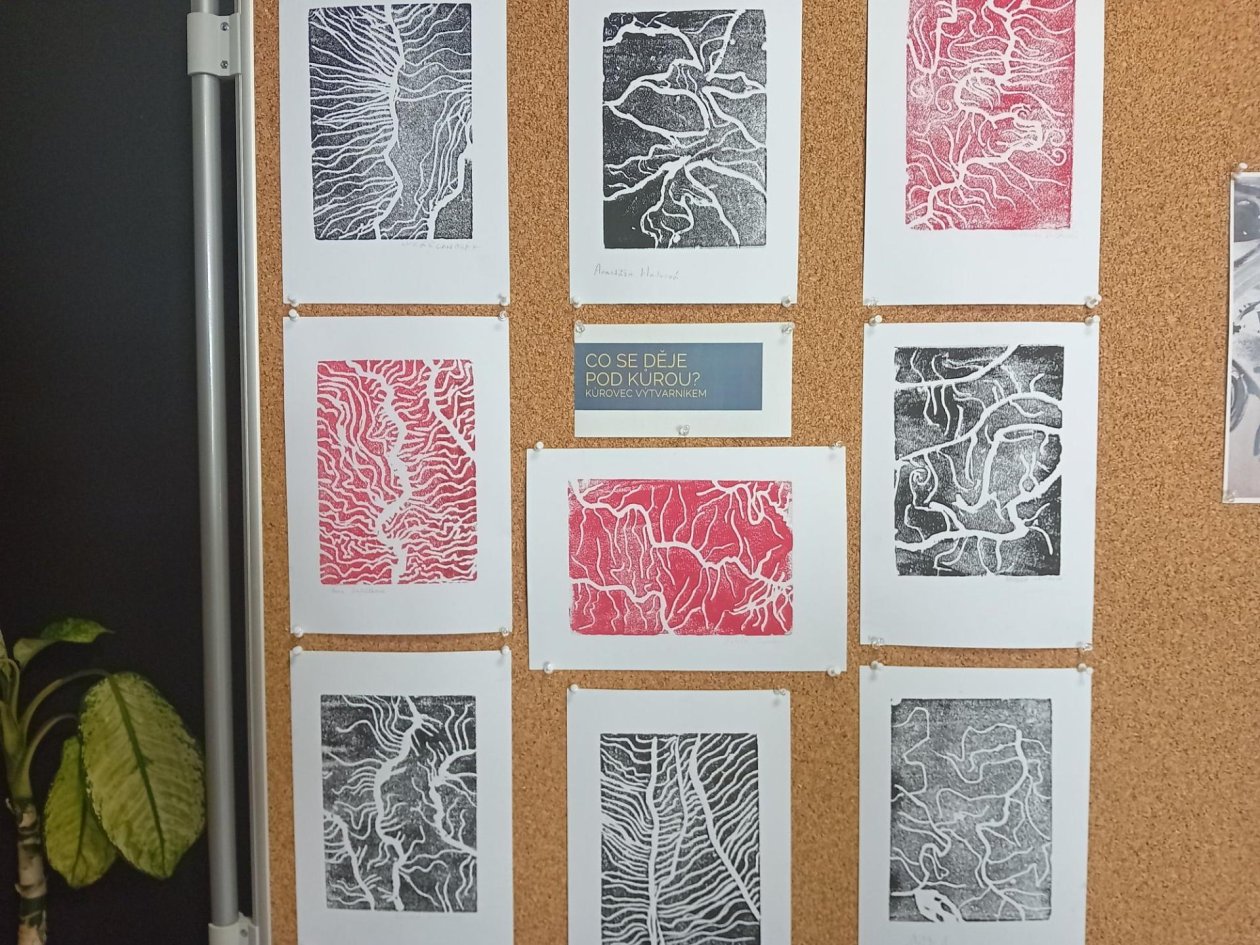 Návštěva výstavy "Pod stromy"