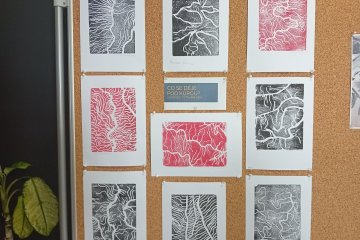 Návštěva výstavy "Pod stromy"