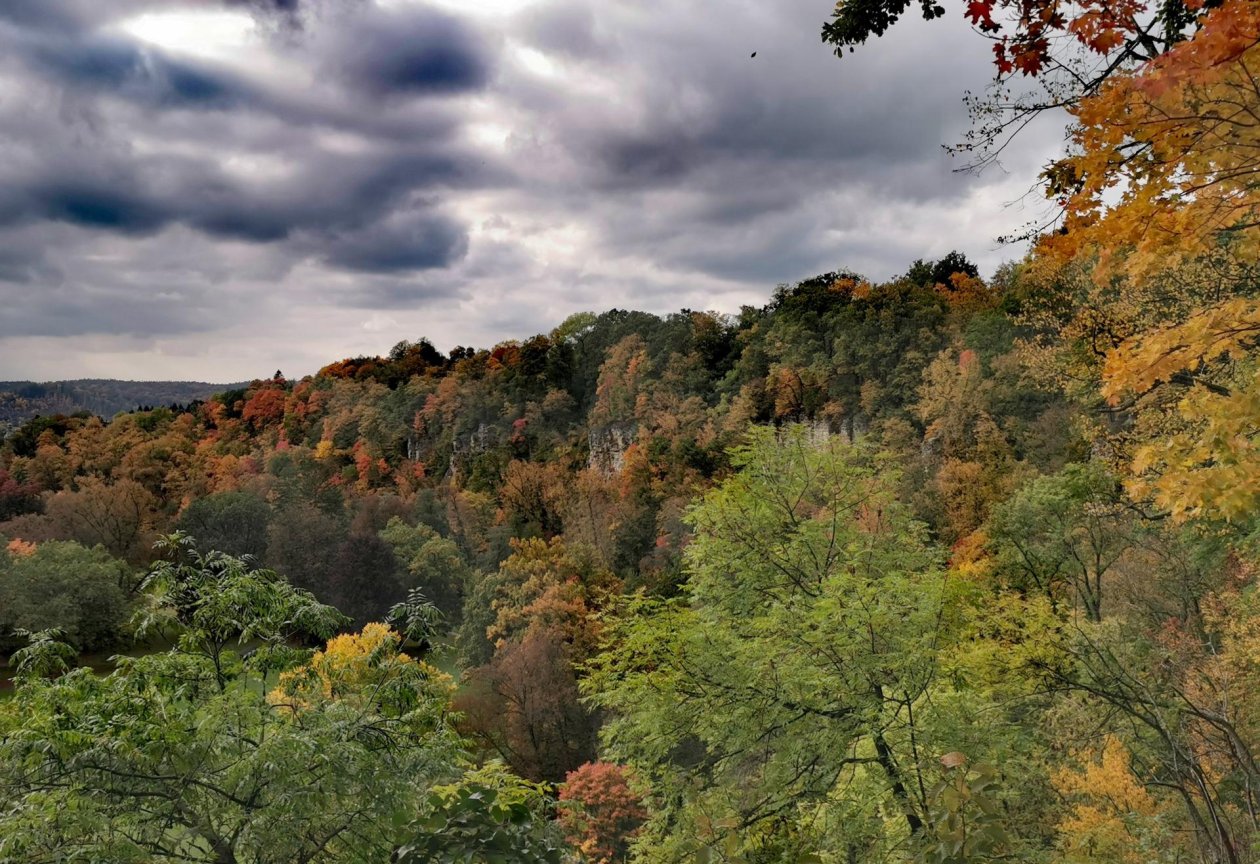 Odvaha ve vzdělání - inspirace z Národní konference EVVO