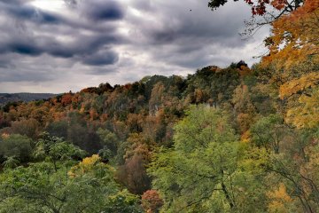Odvaha ve vzdělání - inspirace z Národní konference EVVO