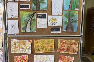 Výstava, která potěší oko i duši