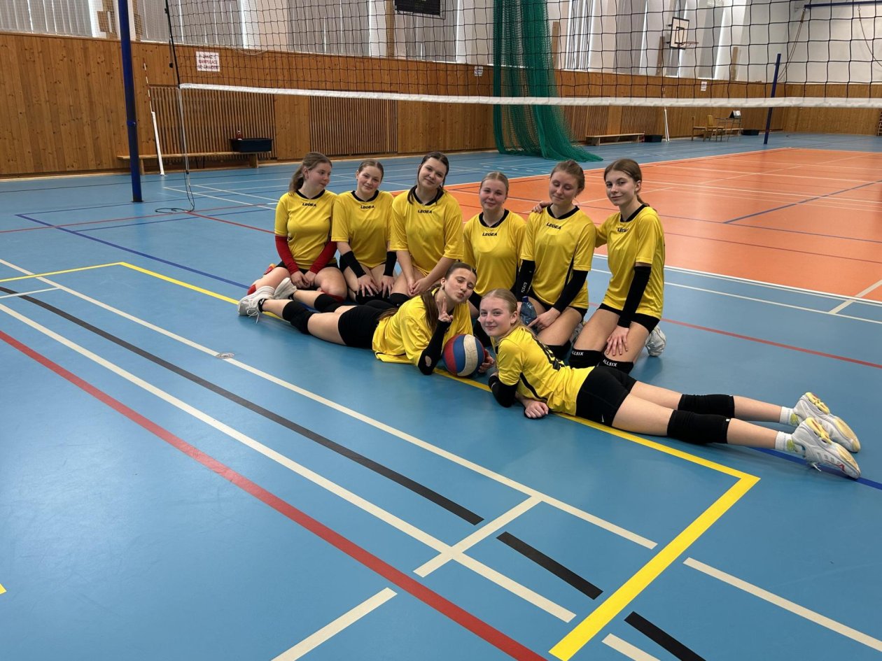 Volejbalové stříbro