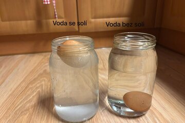 FYZIKA 7. ABC -  Potápění, plování, vznášení se