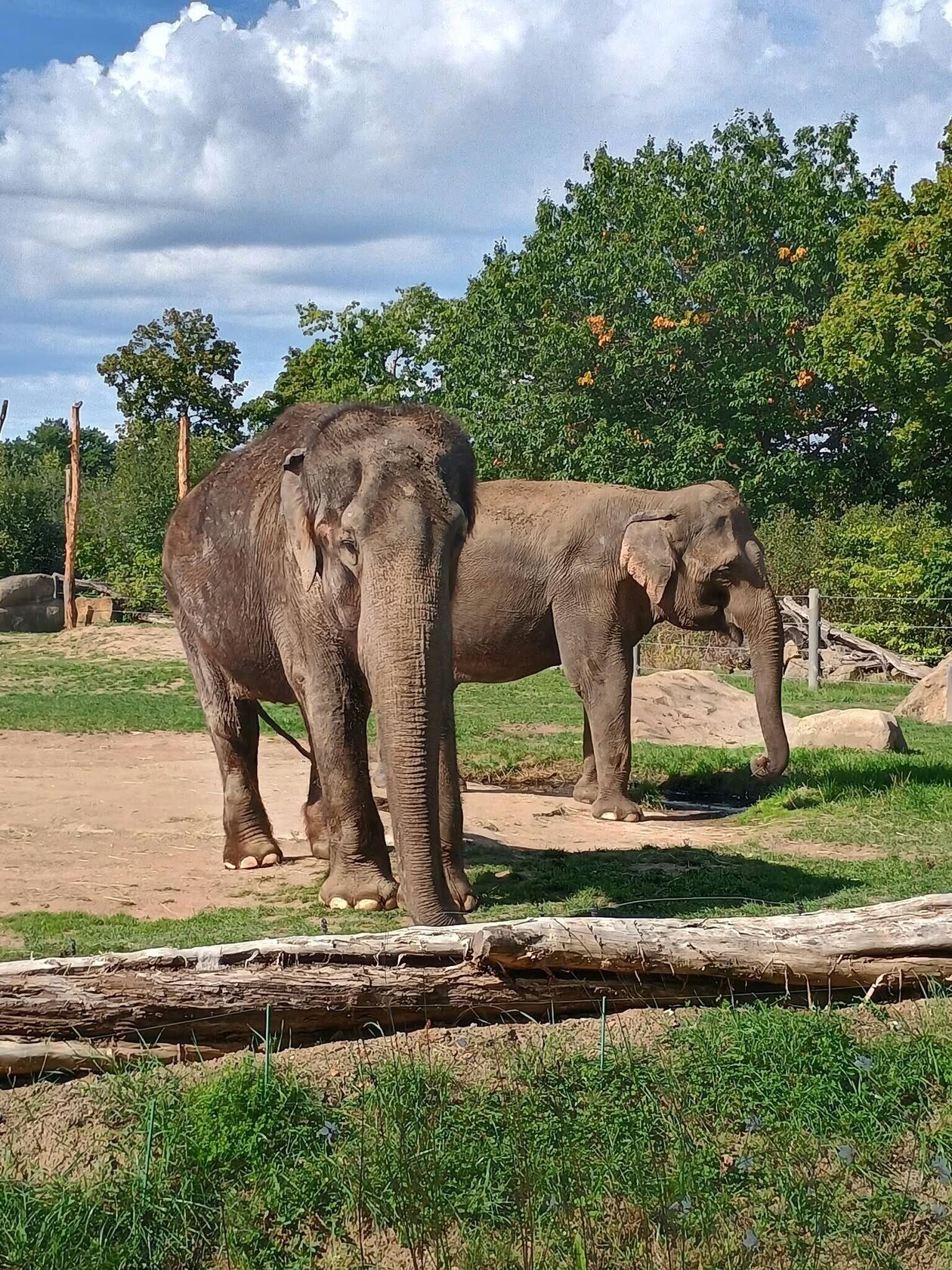 Exkurze osmých ročníků do ZOO