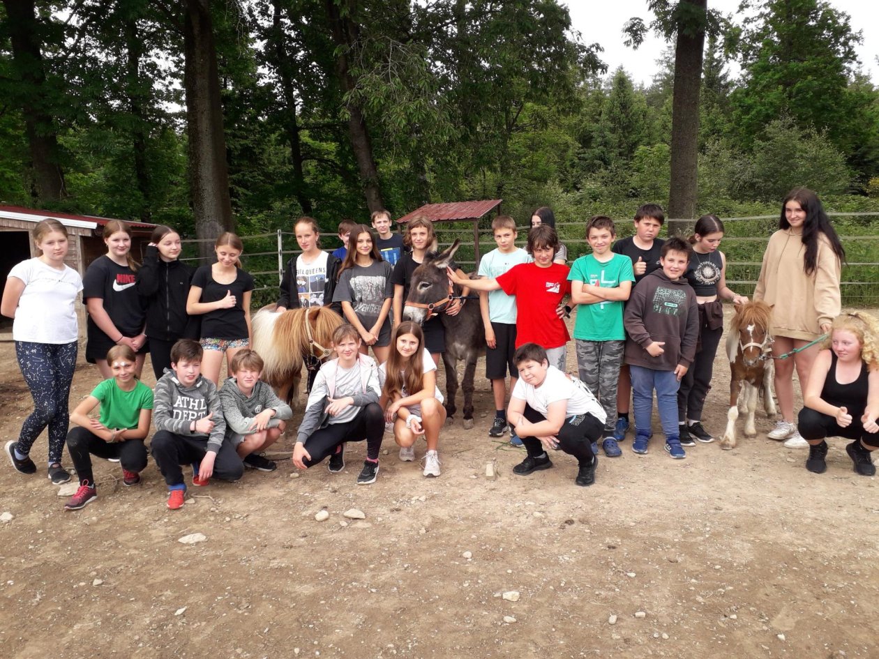 6.A na farmě v Podlesí