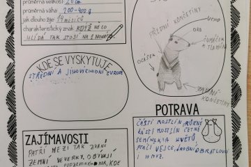 Vyhledávání informací