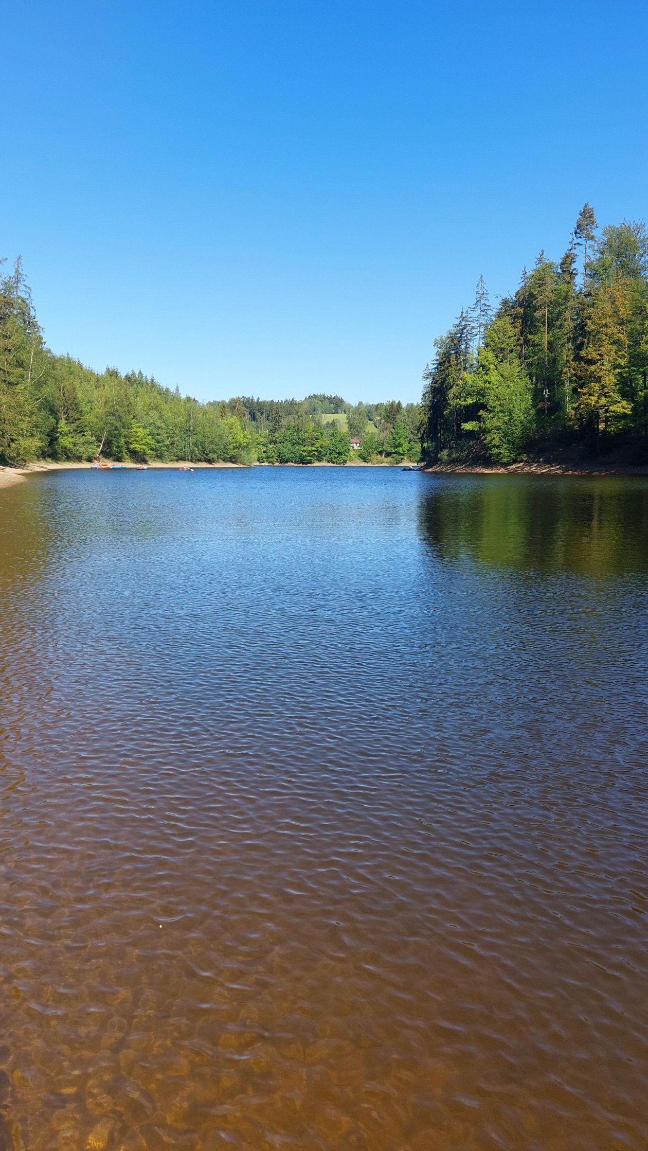 Čtvrťáci na vodě